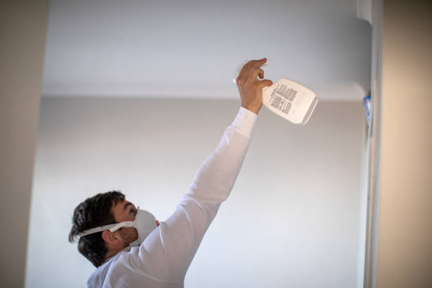 Best Mold Cleaning Services  in Parkersburg, IA